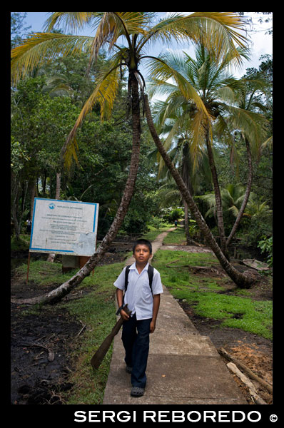 Boy en un muelle del canal de entrada a la Comarca Ngobe Bugle Indian Village Of Salt Creek Cerca de Bocas Del Toro Panamá. Salt Creek (en español: Quebrada Sal) es un pueblo Ngöbe Buglé se encuentra en el extremo sureste de la isla de Bastimentos, en Bocas del Toro Archipelago, Provincia y Distrito de Panamá. La comunidad se compone de unas 60 casas, una escuela primaria, artesanías y tiendas en general. Los aldeanos dependen principalmente de sus canoas para la pesca y el transporte, aunque el pueblo se está desarrollando lentamente junto con todo el archipiélago. Entre el Mar Caribe, con sus manglares, arrecifes de coral e islas paradisíacas, y el denso bosque húmedo tropical de la Isla Bastimentos, se encuentra la comunidad Ngobe conocido como Salt Creek (Quebrada Sal). Aquí, la ALIATUR organización local (Salt Creek Turismo Alliance) ha creado un proyecto para que los visitantes al archipiélago de Bocas del Toro pueden llegar a conocer la cultura de esta comunidad indígena, sus artesanías, sus bailes, y sus historias. Las medidas adoptadas para promover la sostenibilidad Cuatro senderos ambientales o sociales en los bosques de los alrededores permiten al turista apreciar la rica fauna y flora de la región. Alojamiento y comida típica de la zona se ofrecen para el que quiera visitar durante uno o más días en la comunidad de. En caso de que ésto no sea suficiente, la proximidad community's al Parque Nacional Marino Bastimentos permite a los turistas pagan una rápida visita a los maravillosos Cayos Zapatilla y para disfrutar de sus playas, arrecifes de coral, y el sendero.