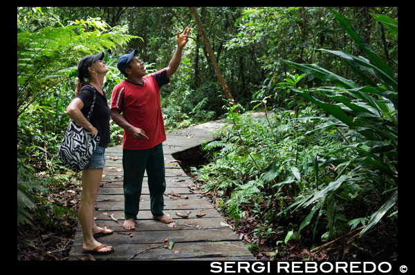 Camina Tour en la Comarca Ngobe Bugle Indian Village Of Salt Creek Cerca de Bocas Del Toro Panamá. Salt Creek (en español: Quebrada Sal) es un pueblo Ngöbe Buglé se encuentra en el extremo sureste de la isla de Bastimentos, en Bocas del Toro Archipelago, Provincia y Distrito de Panamá. La comunidad se compone de unas 60 casas, una escuela primaria, artesanías y tiendas en general. Los aldeanos dependen principalmente de sus canoas para la pesca y el transporte, aunque el pueblo se está desarrollando lentamente junto con todo el archipiélago. Entre el Mar Caribe, con sus manglares, arrecifes de coral e islas paradisíacas, y el denso bosque húmedo tropical de la Isla Bastimentos, se encuentra la comunidad Ngobe conocido como Salt Creek (Quebrada Sal). Aquí, la ALIATUR organización local (Salt Creek Turismo Alliance) ha creado un proyecto para que los visitantes al archipiélago de Bocas del Toro pueden llegar a conocer la cultura de esta comunidad indígena, sus artesanías, sus bailes, y sus historias. Las medidas adoptadas para promover la sostenibilidad Cuatro senderos ambientales o sociales en los bosques de los alrededores permiten al turista apreciar la rica fauna y flora de la región. Alojamiento y comida típica de la zona se ofrecen para el que quiera visitar durante uno o más días en la comunidad de. En caso de que ésto no sea suficiente, la proximidad community's al Parque Nacional Marino Bastimentos permite a los turistas pagan una rápida visita a los maravillosos Cayos Zapatilla y para disfrutar de sus playas, arrecifes de coral, y el sendero.