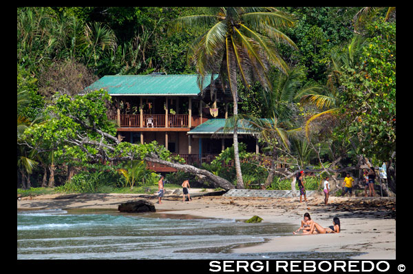 Turistes en Xarxa Frog Beach. Boques del Toro. Panamà. Al voltant d'un 10 minuts en vaixell des de la ciutat de Boques et porta a la Marina Xarxa Frog, des d'on una caminada de 15 minuts a través del punt de l'illa Bastimentos estreta li permet arribar a Xarxa Frog Beach. Amb 0,75 quilòmetres de sorra blanca i daurada, Xarxa Frog Beach és una de les platges més populars a Bocas del Toro. La costa nord de l'illa Bastimentos alberga algunes de les més belles platges de Boques 'i Red Frog és un dels més accessibles, i l'únic amb unes instal.lacions com ara un parell de restaurants i banys. Rep el seu nom de les granotes verinoses que són abundants en pujols Bastimentos. Si tens la sort pot trobar-se amb un mandrós de tres dits o alguns micos també. Causa de la seva facilitat d'accés a moltes excursions en vaixell que Red Frog Beach seva última parada durant el dia, que li proporciona un ambient animat, amb viatgers de tot el món (qualsevol cosa entre 100 i 300 persones). Durant la temporada baixa, que és molt més tranquil. Si li passa a arribar a Xarxa Frog i sentir la necessitat de més espai per a tu mateix sempre es pot caminar una mica cap a l'est (Turtle Beach) o cap a l'oest en direcció a Platja Wizard (Platja Primera), o simplement anar a una altra platja a Bocas del Toro amb menys gent ... hi ha un munt de platges a Bocas.