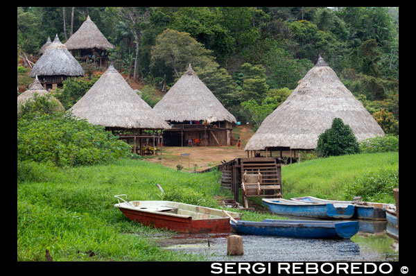 Villagers of the Native Indian Embera Tribe, Embera Village, Panama. Panama Embera people Indian Village Indigenous Indio indios natives Native americans locals local Parque National Chagres. Embera Drua. Embera Drua is located on the Upper Chagres River. A dam built on the river in 1924 produced Lake Alajuela, the main water supply to the Panama Canal. The village is four miles upriver from the lake, and encircled by a 129.000 hectare National Park of primary tropical rainforest. Lake Alajuela can be accessed by bus and mini-van from the city of Panama. It lies an hour from the city, close to the town of Las Cumbres. From a spot called Puerto El Corotu (less a port than a muddy bank with a little store that serves as a dock to embark and disembark from canoes) on the shore of the lake, it takes 45 minutes to an hour to climb up the Rio Chagres to Embera Drua ina a motorized dugout. The village was founded in 1975 by Emilio Caisamo and his sons. They first called it community 2.60 as it was the name of the meteorological station constructed by the Panama Canal Commission located a little up river from the present community. The sons married and brought their wives to live in the community which later attracted more families. Most of the villagers moved out from the Darien Region--increasingly dangerous due to incursions by Colombian guerillas and drug traffickers--and to be closer to the city to have better access to its medical services and educational opportunities. In 1996, villagers adopted a name that reflects their identity and began to call their community Embera Drua. In 1998, the village totaled a population of 80. The social and political leadership of the village is divided between the Noko or village chief, the second chief, the secretary, the accountant and all the committees. Each committee has its president, and accountant, and sometimes a secretary. Embera Drua has a tourism committee that organizes itineraries and activities for groups of visitors and an artisans committee to assist artists in selling their intricate baskets and carvings. Such organization is a relatively new phenomenon but it is inspiring to see how the community has embraced it. The village of Embera Drua has its own NGO. Its goals are to support the village and promote tourism and its artisans. Thanks to their efforts, villagers of Embera Drua now own titles to their land. Their main goals are to assist the village in becoming economically self-sufficient. People from the village of Parara Puru lower down Chagres, have joined the NGO as well. If you would like to support their NGO, contact them directly.The climate is tropical with two distinct seasons. The rainy season lasts about seven months from April to October and the dry season is from November to March. The temperature is fairly constant during the year and varies from the high 80's (high 20's C) during mid-day to the 70's (low 20's C) at night. The landscape protects the village from the strong winter winds yet keeps it breezy enough that the village is almost free of biting insects.