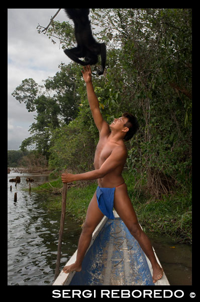 Spider monkey at Villagers of the Native Indian Embera Tribe, Embera Village, Panama. Panama Embera people Indian Village Indigenous Indio indios natives Native americans locals local Parque National Chagres. Embera Drua. Embera Drua is located on the Upper Chagres River. A dam built on the river in 1924 produced Lake Alajuela, the main water supply to the Panama Canal. The village is four miles upriver from the lake, and encircled by a 129.000 hectare National Park of primary tropical rainforest. Lake Alajuela can be accessed by bus and mini-van from the city of Panama. It lies an hour from the city, close to the town of Las Cumbres. From a spot called Puerto El Corotu (less a port than a muddy bank with a little store that serves as a dock to embark and disembark from canoes) on the shore of the lake, it takes 45 minutes to an hour to climb up the Rio Chagres to Embera Drua ina a motorized dugout. The village was founded in 1975 by Emilio Caisamo and his sons. They first called it community 2.60 as it was the name of the meteorological station constructed by the Panama Canal Commission located a little up river from the present community. The sons married and brought their wives to live in the community which later attracted more families. Most of the villagers moved out from the Darien Region--increasingly dangerous due to incursions by Colombian guerillas and drug traffickers--and to be closer to the city to have better access to its medical services and educational opportunities. In 1996, villagers adopted a name that reflects their identity and began to call their community Embera Drua. In 1998, the village totaled a population of 80. The social and political leadership of the village is divided between the Noko or village chief, the second chief, the secretary, the accountant and all the committees. Each committee has its president, and accountant, and sometimes a secretary. Embera Drua has a tourism committee that organizes itineraries and activities for groups of visitors and an artisans committee to assist artists in selling their intricate baskets and carvings. Such organization is a relatively new phenomenon but it is inspiring to see how the community has embraced it. The village of Embera Drua has its own NGO. Its goals are to support the village and promote tourism and its artisans. Thanks to their efforts, villagers of Embera Drua now own titles to their land. Their main goals are to assist the village in becoming economically self-sufficient. People from the village of Parara Puru lower down Chagres, have joined the NGO as well. If you would like to support their NGO, contact them directly.The climate is tropical with two distinct seasons. The rainy season lasts about seven months from April to October and the dry season is from November to March. The temperature is fairly constant during the year and varies from the high 80's (high 20's C) during mid-day to the 70's (low 20's C) at night. The landscape protects the village from the strong winter winds yet keeps it breezy enough that the village is almost free of biting insects.