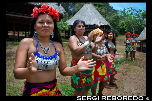 Música i ball al poble de la Native Indian Tribe Embera, Embera Village, Panamà. La gent de Panamà Embera Indian Village Indígena Indi Indis nadius americans nadius vilatans locals Chagres Nacionals Parc. Embera Drua. Embera Drua es troba a la conca alta del riu Chagres. Una presa construïda sobre el riu en 1924 va produir el Llac Alajuela, el subministrament principal d'aigua per al Canal de Panamà. El poble està a quatre quilòmetres riu amunt des del llac, i envoltada per un parc nacional de 129.000 hectàrees de bosc tropical primari. Llac Alajuela es pot accedir amb autobús i mini-van de la ciutat de Panamà. Es troba a una hora de la ciutat, prop de la localitat de Las Cumbres. Des d'un lloc anomenat Port El Corotu (menys un port d'un banc fangós amb una petita botiga que serveix com una molla per embarcar i desembarcar de canoes) a la vora del llac, es triga 45 minuts a una hora per pujar al Riu Chagres a Embera Drua ina 1 piragua motoritzada. El poble va ser fundat el 1975 per Emilio Caisamo i els seus fills. Primer van cridar comunitat 2.60, ja que era el nom de l'estació meteorològica construïda per la Comissió del Canal de Panamà ubicat una mica riu amunt de l'actual comunitat. Els fills es van casar i van portar les seves dones a viure en la comunitat que més tard va atraure més famílies. La majoria dels habitants del poble es va traslladar fora de la Regió de Darién - cada vegada més perillós a causa de les incursions dels guerrillers colombians i narcotraficants - i per estar més a prop de la ciutat per tenir un millor accés als seus serveis mèdics i oportunitats educatives. El 1996, els pobladors van adoptar un nom que reflecteix la seva identitat i van començar a cridar a la seva comunitat Embera Drua. El 1998, el poble va sumar una població de 80 El lideratge social i polític del poble està dividit entre el Noko o cap del poble, el segon cap, la secretària, el comptador i tots els comitès. Cada comitè té el seu president, i el seu comptador, i de vegades un secretari. Embera Drua té un comitè de turisme que organitza itineraris i activitats per a grups de visitants i un comitè d'artesans per ajudar els artistes en la venda de les seves cistelles i talles intricades. Aquesta organització és un fenomen relativament nou, però és inspirador veure com la comunitat ha abraçat. El poble de Embera Drua té la seva pròpia ONG. Els seus objectius són donar suport al poble i promoure el turisme i els seus artesans. Gràcies als seus esforços, els pobladors de Embera Drua ara posseeixen títols de propietat de les seves terres. Els seus objectius principals són ajudar al poble a convertir-se en econòmicament autosuficient. La gent del llogaret de Parés Puru més baix Chagres, s'han unit a l'ONG també. Si vol recolzar la seva ONG, en contacte amb ells directly.The clima és tropical amb dues estacions ben diferenciades. La temporada de pluges dura al voltant de set mesos a partir d'abril a octubre i l'estació seca és de novembre a març. La temperatura és bastant constant durant l'any i varia des dels alts de 80 (alta C de 20) durant la meitat del dia als anys 70 (C baixa del 20) a la nit. El paisatge protegeix al poble dels forts vents de l'hivern encara manté força ventós que el poble està gairebé lliure dels insectes que piquen.