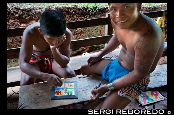 Reproducció de Parxís al poble de la Native Indian Tribe Embera, Embera Village, Panamà. La gent de Panamà Embera Indian Village Indígena Indi Indis nadius americans nadius vilatans locals Chagres Nacionals Parc. Embera Drua. Embera Drua es troba a la conca alta del riu Chagres. Una presa construïda sobre el riu en 1924 va produir el Llac Alajuela, el subministrament principal d'aigua per al Canal de Panamà. El poble està a quatre quilòmetres riu amunt des del llac, i envoltada per un parc nacional de 129.000 hectàrees de bosc tropical primari. Llac Alajuela es pot accedir amb autobús i mini-van de la ciutat de Panamà. Es troba a una hora de la ciutat, prop de la localitat de Las Cumbres. Des d'un lloc anomenat Port El Corotu (menys un port d'un banc fangós amb una petita botiga que serveix com una molla per embarcar i desembarcar de canoes) a la vora del llac, es triga 45 minuts a una hora per pujar al Riu Chagres a Embera Drua ina 1 piragua motoritzada. El poble va ser fundat el 1975 per Emilio Caisamo i els seus fills. Primer van cridar comunitat 2.60, ja que era el nom de l'estació meteorològica construïda per la Comissió del Canal de Panamà ubicat una mica riu amunt de l'actual comunitat. Els fills es van casar i van portar les seves dones a viure en la comunitat que més tard va atraure més famílies. La majoria dels habitants del poble es va traslladar fora de la Regió de Darién - cada vegada més perillós a causa de les incursions dels guerrillers colombians i narcotraficants - i per estar més a prop de la ciutat per tenir un millor accés als seus serveis mèdics i oportunitats educatives. El 1996, els pobladors van adoptar un nom que reflecteix la seva identitat i van començar a cridar a la seva comunitat Embera Drua. El 1998, el poble va sumar una població de 80 El lideratge social i polític del poble està dividit entre el Noko o cap del poble, el segon cap, la secretària, el comptador i tots els comitès. Cada comitè té el seu president, i el seu comptador, i de vegades un secretari. Embera Drua té un comitè de turisme que organitza itineraris i activitats per a grups de visitants i un comitè d'artesans per ajudar els artistes en la venda de les seves cistelles i talles intricades. Aquesta organització és un fenomen relativament nou, però és inspirador veure com la comunitat ha abraçat. El poble de Embera Drua té la seva pròpia ONG. Els seus objectius són donar suport al poble i promoure el turisme i els seus artesans. Gràcies als seus esforços, els pobladors de Embera Drua ara posseeixen títols de propietat de les seves terres. Els seus objectius principals són ajudar al poble a convertir-se en econòmicament autosuficient. La gent del llogaret de Parés Puru més baix Chagres, s'han unit a l'ONG també. Si vol recolzar la seva ONG, en contacte amb ells directly.The clima és tropical amb dues estacions ben diferenciades. La temporada de pluges dura al voltant de set mesos a partir d'abril a octubre i l'estació seca és de novembre a març. La temperatura és bastant constant durant l'any i varia des dels alts de 80 (alta C de 20) durant la meitat del dia als anys 70 (C baixa del 20) a la nit. El paisatge protegeix al poble dels forts vents de l'hivern encara manté força ventós que el poble està gairebé lliure dels insectes que piquen.