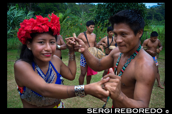 Música y baile en el pueblo de la Native Indian Tribe Embera, Embera Village, Panamá. La gente de Panamá Embera Indian Village Indígena Indio Indios nativos americanos nativos lugareños locales Chagres Nacionales Parque. Embera Drua. Embera Drua se encuentra en la cuenca alta del río Chagres. Una presa construida sobre el río en 1924 produjo el Lago Alajuela, el suministro principal de agua para el Canal de Panamá. El pueblo está a cuatro kilómetros río arriba desde el lago, y rodeada por un parque nacional de 129.000 hectáreas de bosque tropical primario. Lago Alajuela se puede acceder en autobús y mini-van de la ciudad de Panamá. Se encuentra a una hora de la ciudad, cerca de la localidad de Las Cumbres. Desde un lugar llamado Puerto El Corotu (menos un puerto de un banco fangoso con una pequeña tienda que sirve como un muelle para embarcar y desembarcar de canoas) en la orilla del lago, se tarda 45 minutos a una hora para subir el Río Chagres a Embera Drua ina una piragua motorizada. El pueblo fue fundado en 1975 por Emilio Caisamo y sus hijos. Primero llamaron comunidad 2.60, ya que era el nombre de la estación meteorológica construida por la Comisión del Canal de Panamá ubicado un poco río arriba de la actual comunidad. Los hijos se casaron y trajeron a sus esposas a vivir en la comunidad que más tarde atrajo a más familias. La mayoría de los habitantes del pueblo se trasladó fuera de la Región de Darién - cada vez más peligroso debido a las incursiones de los guerrilleros colombianos y narcotraficantes - y para estar más cerca de la ciudad para tener un mejor acceso a sus servicios médicos y oportunidades educativas. En 1996, los pobladores adoptaron un nombre que refleja su identidad y comenzaron a llamar a su comunidad Embera Drua. En 1998, el pueblo sumó una población de 80 El liderazgo social y político del pueblo está dividido entre el Noko o jefe de la aldea, el segundo jefe, la secretaria, el contador y todos los comités. Cada comité tiene su presidente, y su contador, ya veces un secretario. Embera Drua tiene un comité de turismo que organiza itinerarios y actividades para grupos de visitantes y un comité de artesanos para ayudar a los artistas en la venta de sus cestas y tallas intrincadas. Dicha organización es un fenómeno relativamente nuevo, pero es inspirador ver cómo la comunidad ha abrazado. El pueblo de Embera Drua tiene su propia ONG. Sus objetivos son apoyar al pueblo y promover el turismo y sus artesanos. Gracias a sus esfuerzos, los pobladores de Embera Drua ahora poseen títulos de propiedad de sus tierras. Sus objetivos principales son ayudar al pueblo a convertirse en económicamente autosuficiente. La gente de la aldea de Parara Puru más abajo Chagres, se han unido a la ONG también. Si usted desea apoyar a su ONG, en contacto con ellos directly.The clima es tropical con dos estaciones bien diferenciadas. La temporada de lluvias dura alrededor de siete meses a partir de abril a octubre y la estación seca es de noviembre a marzo. La temperatura es bastante constante durante el año y varía desde los altos de 80 (alta C de 20) durante la mitad del día a los años 70 (C baja del 20) por la noche. El paisaje protege al pueblo de los fuertes vientos del invierno todavía mantiene bastante ventoso que el pueblo está casi libre de los insectos que pican.