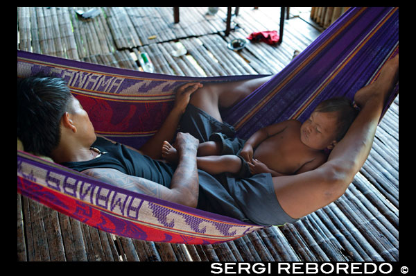 Men and his child doing a siesta in a  hammock in the village of the Native Indian Embera Tribe, Embera Village, Panama. Panama Embera people Indian Village Indigenous Indio indios natives Native americans locals local Parque National Chagres. Embera Drua. Embera Drua is located on the Upper Chagres River. A dam built on the river in 1924 produced Lake Alajuela, the main water supply to the Panama Canal. The village is four miles upriver from the lake, and encircled by a 129.000 hectare National Park of primary tropical rainforest. Lake Alajuela can be accessed by bus and mini-van from the city of Panama. It lies an hour from the city, close to the town of Las Cumbres. From a spot called Puerto El Corotu (less a port than a muddy bank with a little store that serves as a dock to embark and disembark from canoes) on the shore of the lake, it takes 45 minutes to an hour to climb up the Rio Chagres to Embera Drua ina a motorized dugout. The village was founded in 1975 by Emilio Caisamo and his sons. They first called it community 2.60 as it was the name of the meteorological station constructed by the Panama Canal Commission located a little up river from the present community. The sons married and brought their wives to live in the community which later attracted more families. Most of the villagers moved out from the Darien Region--increasingly dangerous due to incursions by Colombian guerillas and drug traffickers--and to be closer to the city to have better access to its medical services and educational opportunities. In 1996, villagers adopted a name that reflects their identity and began to call their community Embera Drua. In 1998, the village totaled a population of 80. The social and political leadership of the village is divided between the Noko or village chief, the second chief, the secretary, the accountant and all the committees. Each committee has its president, and accountant, and sometimes a secretary. Embera Drua has a tourism committee that organizes itineraries and activities for groups of visitors and an artisans committee to assist artists in selling their intricate baskets and carvings. Such organization is a relatively new phenomenon but it is inspiring to see how the community has embraced it. The village of Embera Drua has its own NGO. Its goals are to support the village and promote tourism and its artisans. Thanks to their efforts, villagers of Embera Drua now own titles to their land. Their main goals are to assist the village in becoming economically self-sufficient. People from the village of Parara Puru lower down Chagres, have joined the NGO as well. If you would like to support their NGO, contact them directly.The climate is tropical with two distinct seasons. The rainy season lasts about seven months from April to October and the dry season is from November to March. The temperature is fairly constant during the year and varies from the high 80's (high 20's C) during mid-day to the 70's (low 20's C) at night. The landscape protects the village from the strong winter winds yet keeps it breezy enough that the village is almost free of biting insects.