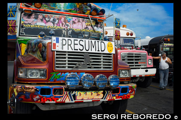 SMUG, vanidoso, VANO, SNOOSTY. BUS RED DEVIL DIABLO ROJO PINTADO BUS PANAMÁ REPÚBLICA CIUDAD DE PANAMÁ. Terminal de la estación de autobuses Albrok. Panamá. Aquí viene el Diablo Rojo, el bus de Red Devil voladuras su bocina de aire y coleando en torno a un compañero "demonio" justo a tiempo para reclamar Irma Betancourt y otros viajeros de la mañana. Baste decir los Diablos Rojos ganan su nombre. "Están locos", dijo Betancourt, de 33 años, un ama de llaves en un hotel del centro, el embarque en un bulevar principal. "Todos sabemos que. Lo único que importa es conseguir la tarifa. Tantas veces hemos casi golpear a alguien. "Paseando por la ciudad de Panamá que es difícil pasar por alto estos autobuses malditos locos rodando por la ciudad. Autobuses escolares convertidos se utilizan como medio de transporte público barato. Cada autobús en la ciudad está decorada de forma individual que hace una captura interesante cada vez que rueda alrededor. El costo promedio para montar uno de estos autobuses es de 25 centavos! "Casi" puede hacer que su autobús uno de los afortunados, ya que se sabe que han tenido más de un par de almas para el bien de una camioneta. Su autobús en una mañana reciente es como cientos de otros, un convertido, en llamas autobús escolar americano fundido-off con el color, generalmente pesados ??sobre el rojo. Como si pintado por un artista de graffiti adicto a las películas de acción y deportes, a menudo se jactan, escenas de ensueño de fantasía, incluyendo, improbablemente, un Dumbledore se avecina de las películas de Harry Potter mirando a la señora Betancourt mientras se sube a bordo. El reggaetón, salsa y otras músicas-bajo pesado concuss el aire, para atraer a los corredores a los autobuses de propiedad privada. Silenciadores gruñir contribuyen a la banda sonora de las calles. Y nadie parrilla precie carece de una cadena salvaje de las luces de Navidad. Un típico: 25 centavos de dólar. "Ellos se convirtieron en el aspecto más dominante visual de la Ciudad de Panamá," dijo Peter SZOK, profesor de la Universidad Cristiana de Texas en Fort Worth que ha estudiado los autobuses y el arte popular de Panamá. Es una tradición en la región en otros lugares, en otras ciudades de Panamá, así como en países como Suriname, donde los autobuses están adornadas con retratos políticamente teñidas de héroes y bandidos. Pero aquí, al menos, el viaje está llegando a su fin. Los autobuses, muchos de ellos se retiró de las escuelas de la Florida, han sido la columna vertebral del transporte público aquí por más de cuatro décadas, con la tradición de decorar los vehículos utilizados para el transporte público de ir aún más atrás. Sr. SZOK traza la forma de arte a un deseo de reflejar estilos de la música latina y una vida idealizada. Ciudad de Panamá, sin embargo, se está modernizando rápidamente, con un horizonte de imponentes y en expansión los centros comerciales que los promotores esperan que lo puso en el mapa como otra de Singapur. Con eso ha recorrido un empuje para la orden. Un metro se está excavando. Las vías de acceso están siendo construidos o planificados. Los Diablos Rojos, propiedad y operado por sus conductores sin horario fijo de bienes, se está eliminando gradualmente en favor de algo decididamente más vainilla y benigna, un sistema Metro Bus con vehículos blancos cuadradas genéricos conocidos en cualquier ciudad. El único toque de color es una barra naranja. "Seguro, cómodo y fiable", es el lema. Hay incluso un mapa de la ruta. El presidente Ricardo Martinelli, cuyo gobierno ha defendido el nuevo sistema, ha señalado que los nuevos autobuses como una señal de progreso, culpando a los Diablos Rojos de accidentes y acusándolos de servicio fiable. "Ellos van a correr de un extremo de la ciudad a la otra, matando a la gente, matando a sí mismos", dijo en un discurso en Washington en abril. "Sí, un montón de personas perdieron la vida." Pero los autobuses Metro, también, están llegando quejas, principalmente para el servicio es lento. Se espera que el precio de 25 centavos en la mayoría de las rutas que aumente a 45 centavos de dólar el próximo año, y ya se está dibujando muecas. Algunos han empezado a llamar a ellos los Diablos Blancos, los Diablos Blancos. "Hey! La línea comienza ahí atrás, "varias personas gritaron en un centro abarrotado Metro Parada de autobús como su paseo por fin llegó en un aguacero. "Mira a esta larga línea y poco refugio de autobús", dijo David Polo, de 33 años, que había estado esperando durante más de 20 minutos. "Los nuevos buses pueden ser más seguros, pero necesitan más de ellos." Funcionarios de transporte de Panamá dijo que los Diablos Rojos, que suman cerca de 1.200 en los últimos años, se habría ido a finales de este año, pero el plan se ha retrasado más de una vez como el nuevo sistema pretende contratar y conductores de trenes. A medida que los diablos rojos desaparecen - algunos de ellos, en el último giro del destino, convertidos de nuevo a los autobuses escolares, y otros desmontados para el desecho o sentados en Boneyards autobuses - algo un poco inesperado ha surgido. La simpatía por los Diablos Rojos. La nostalgia va de la lengua en la mejilla - un "Guarde el Diablo Rojo" video de YouTube pretende llorar al final de perder sus billeteras de los turistas, entre otras cosas, en ellos - a remordimientos auténticos. "Es una pérdida de parte de nuestra cultura", dijo Analida Galindo, co-director de la galería de arte Diablo Rosso en el histórico barrio del Casco Viejo. Sí, el nombre de la galería es una obra de teatro sobre el nombre de los Diablos Rojos. La galería vende puertas del autobús pintado por uno de los más prolíficos artistas Red Devil, Oscar Melgar, por 2.500 dólares (ningún comprador aún). Sr. SZOK dijo que los pintores eran en gran parte autodidacta, muchos de ellos los hijos de inmigrantes de las Indias Occidentales, aunque algunos en los últimos años se habían ido a la escuela de arte. Por lo general pagan $ 2.000 y hasta pintar los autobuses por lo que algunos son un caleidoscopio de imágenes, mientras que, en otros, el amarillo ha sido apenas pintado encima, dependiendo de los medios del conductor. "Fue una gran tradición que la gente va a perder", dijo uno de los pintores, Ramón Enrique Hormigueros, conocido como Monchi. "Aquí es Navidad, y ¿qué voy a hacer? No tengo nada. "Algunos propietarios también se han quejado de que los 25.000 dólares que el gobierno les está ofreciendo en compensación por renunciar a sus autobuses puede parecer generoso, pero no los llevará muy lejos. Varios conductores dijeron que no podían conseguir trabajo con Metro Bus debido a sus registros de conducción pobres, aunque el nuevo sistema ha contratado a muchos pilotos de Red Devil. Otros pilotos dijeron que habían sostenido durante mucho tiempo un segundo empleo y encontrarían otro trabajo. "Todo tiene que llegar a su fin algún día," un conductor, Juan Estanciola, dijo hace unos días fuera de su autobús pintado con modestia, que es todo blanco con ribete morado y lleva refranes como "No dejes que mi presencia ensuciar con su mente . "Él habló en la puerta de su autobús, que acababa de chocar con un taxi en una tarde lluviosa. "Fue su culpa," dijo. "Él cortó en frente de mí. Ellos no saben cómo conducir ".