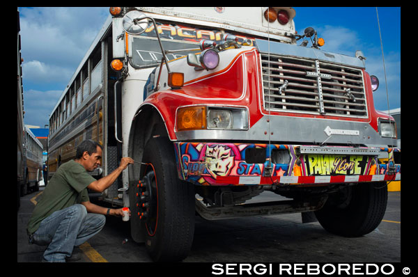 Decorar un BUS RED DEVIL DIABLO ROJO PINTAT BUS PANAMÀ REPÚBLICA CIUTAT DE PANAMÀ. Terminal de l'estació d'autobusos Albrok. Panamà. Aquí ve el Diable Vermell, el bus de Xarxa Devil voladures seva botzina d'aire i cuejant al voltant d'un company "dimoni" just a temps per reclamar Irma Betancourt i altres viatgers del matí. Només cal dir els Diables Vermells guanyen el seu nom. "Estan bojos", va dir Betancourt, de 33 anys, una mestressa de claus en un hotel del centre, l'embarcament en un bulevard principal. "Tots sabem que. L'únic que importa és aconseguir la tarifa. Tantes vegades hem gairebé colpejar a algú." Passejant per la ciutat de Panamà que és difícil passar per alt aquests autobusos maleïts bojos rodant per la ciutat. Autobusos escolars convertits s'utilitzen com a mitjà de transport públic barat. Cada autobús a la ciutat està decorada de manera individual que fa una captura interessant cada vegada que roda al voltant. El cost mitjà per muntar un d'aquests autobusos és de 25 centaus! "Gairebé" pot fer que el seu autobús un dels afortunats, ja que se sap que han tingut més d'un parell d'ànimes per al bé d'una camioneta. El seu autobús en un matí recent és com centenars d'altres, un convertit, en flames autobús escolar americà fos-off amb el color, generalment pesats ?? sobre el vermell. Com si pintat per un artista de graffiti addicte a les pel · lícules d'acció i esports, sovint es vanen, escenes de somni de fantasia, incloent, improbablement, 1 Dumbledore s'acosta de les pel · lícules de Harry Potter mirant a la senyora Betancourt mentre es puja a bord. El reggaetón, salsa i altres músiques-sota pesat concuss l'aire, per atraure els corredors als autobusos de propietat privada. Silenciadors grunyir contribueixen a la banda sonora dels carrers. I ningú graella preï té una cadena salvatge dels llums de Nadal. Un típic: 25 centaus de dòlar. "Ells es van convertir en l'aspecte més dominant visual de la Ciutat de Panamà," va dir Peter SZOK, professor de la Universitat Cristiana de Texas a Fort Worth que ha estudiat els autobusos i l'art popular de Panamà. És una tradició a la regió en altres llocs, en altres ciutats de Panamà, així com en països com Suriname, on els autobusos estan adornades amb retrats políticament tenyides d'herois i bandits. Però aquí, com a mínim, el viatge està arribant a la seva fi. Els autobusos, molts d'ells es va retirar de les escoles de la Florida, han estat la columna vertebral del transport públic aquí per més de quatre dècades, amb la tradició de decorar els vehicles utilitzats per al transport públic d'anar encara més enrere. Sr SZOK traça la forma d'art a un desig de reflectir estils de la música llatina i una vida idealitzada. Ciutat de Panamà, però, s'està modernitzant ràpidament, amb un horitzó d'imponents i en expansió els centres comercials que els promotors esperen que el va posar al mapa com una altra de Singapur. Amb això ha recorregut una empenta per l'ordre. Un metre s'està excavant. Les vies d'accés estan sent construïts o planificats. Els Diables Vermells, propietat i operat per les seves conductors sense horari fix de béns, s'està eliminant gradualment en favor d'alguna cosa decididament més vainilla i benigna, un sistema Metro Bus amb vehicles blancs quadrades genèrics coneguts a qualsevol ciutat. L'únic toc de color és una barra taronja. "Segur, còmode i fiable", és el lema. Hi ha fins i tot un mapa de la ruta. El president Ricardo Martinelli, el govern ha defensat el nou sistema, ha assenyalat que els nous autobusos com un senyal de progrés, culpant als Diables Vermells d'accidents i acusant-los de servei fiable. "Ells van a córrer d'un extrem de la ciutat a l'altra, matant a la gent, matant a si mateixos", va dir en un discurs a Washington a l'abril. "Sí, un munt de persones van perdre la vida." Però els autobusos metro, també, estan arribant queixes, principalment per el servei és lent. S'espera que el preu de 25 centaus en la majoria de les rutes que augmenti a 45 centaus de dòlar l'any que, i ja s'està dibuixant ganyotes. Alguns han començat a cridar ells els Diables Blancs, els Diables Blancs. "Hey! La línia comença allà darrera," diverses persones van cridar en un centre abarrotat metro Parada d'autobús com el seu passeig per fi va arribar en un aiguat. "Mira a aquesta llarga línia i poc refugi d'autobús", va dir David Pol, de 33 anys, que havia estat esperant durant més de 20 minuts. "Els nous busos poden ser més segurs, però necessiten més d'ells." Funcionaris de transport de Panamà va dir que els Diables Vermells, que sumen prop de 1.200 en els últims anys, s'hauria anat a finals d'aquest any, però el pla s'ha retardat més d'una vegada com el nou sistema pretén contractar i conductors de trens . A mesura que els diables vermells desapareixen - alguns d'ells, en l'últim gir del destí, convertits de nou als autobusos escolars, i altres desmuntats per al rebuig o asseguts en Boneyards autobusos - una cosa una mica inesperat ha sorgit. La simpatia pels Diables Vermells. La nostàlgia va de la llengua a la galta - un "Deseu el Diable Vermell" vídeo de YouTube pretén plorar al final de perdre els seus billeteras dels turistes, entre altres coses, a ells - a remordiments autèntics. "És una pèrdua de part de la nostra cultura", va dir Analida Galindo, codirector de la galeria d'art Diable Rosso a l'històric barri del Casc Vell. Sí, el nom de la galeria és una obra de teatre sobre el nom dels Diables Vermells. La galeria ven portes de l'autobús pintat per un dels més prolífics artistes Xarxa Devil, Oscar Melgar, per 2.500 dòlars (cap comprador encara). Sr SZOK dir que els pintors eren en gran part autodidacta, molts d'ells els fills d'immigrants de les Índies Occidentals, encara que alguns en els últims anys s'havien anat a l'escola d'art. En general paguen $ 2.000 i fins pintar els autobusos de manera que alguns són un calidoscopi d'imatges, mentre que, en altres, el groc ha estat tot just pintat a sobre, depenent dels mitjans del conductor. "Va ser una gran tradició que la gent va a perdre", va dir un dels pintors, Ramón Enrique Formiguers, conegut com Monchi. "Aquí és Nadal, i ¿què faré? No tinc res." Alguns propietaris també s'han queixat que els 25.000 dòlars que el govern els està oferint en compensació per renunciar als seus autobusos pot semblar generós, però no els portarà molt lluny. Diversos conductors van dir que no podien aconseguir feina amb Metro Bus causa dels seus registres de conducció pobres, tot i que el nou sistema ha contractat molts pilots de Red Devil. Altres pilots van dir que havien sostingut durant molt de temps una segona feina i trobarien un altre treball. "Tot ha d'arribar a la seva fi algun dia," un conductor, Juan Estanciola, va dir fa uns dies fora del seu autobús pintat amb modèstia, que és tot blanc amb rivet morat i porta refranys com "No deixis que la meva presència embrutar amb el seu ment. "Ell va parlar a la porta del seu autobús, que acabava de xocar amb un taxi en una tarda plujosa. "Va ser la seva culpa," va dir. "Ell va tallar al davant de mi. Ells no saben com conduir".