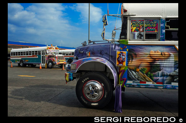 BUS RED DEVIL DIABLO ROJO PINTADO BUS PANAMÁ REPÚBLICA CIUDAD DE PANAMÁ. Terminal de la estación de autobuses Albrok. Panamá. Aquí viene el Diablo Rojo, el bus de Red Devil voladuras su bocina de aire y coleando en torno a un compañero "demonio" justo a tiempo para reclamar Irma Betancourt y otros viajeros de la mañana. Baste decir los Diablos Rojos ganan su nombre. "Están locos", dijo Betancourt, de 33 años, un ama de llaves en un hotel del centro, el embarque en un bulevar principal. "Todos sabemos que. Lo único que importa es conseguir la tarifa. Tantas veces hemos casi golpear a alguien. "Paseando por la ciudad de Panamá que es difícil pasar por alto estos autobuses malditos locos rodando por la ciudad. Autobuses escolares convertidos se utilizan como medio de transporte público barato. Cada autobús en la ciudad está decorada de forma individual que hace una captura interesante cada vez que rueda alrededor. El costo promedio para montar uno de estos autobuses es de 25 centavos! "Casi" puede hacer que su autobús uno de los afortunados, ya que se sabe que han tenido más de un par de almas para el bien de una camioneta. Su autobús en una mañana reciente es como cientos de otros, un convertido, en llamas autobús escolar americano fundido-off con el color, generalmente pesados ??sobre el rojo. Como si pintado por un artista de graffiti adicto a las películas de acción y deportes, a menudo se jactan, escenas de ensueño de fantasía, incluyendo, improbablemente, un Dumbledore se avecina de las películas de Harry Potter mirando a la señora Betancourt mientras se sube a bordo. El reggaetón, salsa y otras músicas-bajo pesado concuss el aire, para atraer a los corredores a los autobuses de propiedad privada. Silenciadores gruñir contribuyen a la banda sonora de las calles. Y nadie parrilla precie carece de una cadena salvaje de las luces de Navidad. Un típico: 25 centavos de dólar. "Ellos se convirtieron en el aspecto más dominante visual de la Ciudad de Panamá," dijo Peter SZOK, profesor de la Universidad Cristiana de Texas en Fort Worth que ha estudiado los autobuses y el arte popular de Panamá. Es una tradición en la región en otros lugares, en otras ciudades de Panamá, así como en países como Suriname, donde los autobuses están adornadas con retratos políticamente teñidas de héroes y bandidos. Pero aquí, al menos, el viaje está llegando a su fin. Los autobuses, muchos de ellos se retiró de las escuelas de la Florida, han sido la columna vertebral del transporte público aquí por más de cuatro décadas, con la tradición de decorar los vehículos utilizados para el transporte público de ir aún más atrás. Sr. SZOK traza la forma de arte a un deseo de reflejar estilos de la música latina y una vida idealizada. Ciudad de Panamá, sin embargo, se está modernizando rápidamente, con un horizonte de imponentes y en expansión los centros comerciales que los promotores esperan que lo puso en el mapa como otra de Singapur. Con eso ha recorrido un empuje para la orden. Un metro se está excavando. Las vías de acceso están siendo construidos o planificados. Los Diablos Rojos, propiedad y operado por sus conductores sin horario fijo de bienes, se está eliminando gradualmente en favor de algo decididamente más vainilla y benigna, un sistema Metro Bus con vehículos blancos cuadradas genéricos conocidos en cualquier ciudad. El único toque de color es una barra naranja. "Seguro, cómodo y fiable", es el lema. Hay incluso un mapa de la ruta. El presidente Ricardo Martinelli, cuyo gobierno ha defendido el nuevo sistema, ha señalado que los nuevos autobuses como una señal de progreso, culpando a los Diablos Rojos de accidentes y acusándolos de servicio fiable. "Ellos van a correr de un extremo de la ciudad a la otra, matando a la gente, matando a sí mismos", dijo en un discurso en Washington en abril. "Sí, un montón de personas perdieron la vida." Pero los autobuses Metro, también, están llegando quejas, principalmente para el servicio es lento. Se espera que el precio de 25 centavos en la mayoría de las rutas que aumente a 45 centavos de dólar el próximo año, y ya se está dibujando muecas. Algunos han empezado a llamar a ellos los Diablos Blancos, los Diablos Blancos. "Hey! La línea comienza ahí atrás, "varias personas gritaron en un centro abarrotado Metro Parada de autobús como su paseo por fin llegó en un aguacero. "Mira a esta larga línea y poco refugio de autobús", dijo David Polo, de 33 años, que había estado esperando durante más de 20 minutos. "Los nuevos buses pueden ser más seguros, pero necesitan más de ellos." Funcionarios de transporte de Panamá dijo que los Diablos Rojos, que suman cerca de 1.200 en los últimos años, se habría ido a finales de este año, pero el plan se ha retrasado más de una vez como el nuevo sistema pretende contratar y conductores de trenes. A medida que los diablos rojos desaparecen - algunos de ellos, en el último giro del destino, convertidos de nuevo a los autobuses escolares, y otros desmontados para el desecho o sentados en Boneyards autobuses - algo un poco inesperado ha surgido. La simpatía por los Diablos Rojos. La nostalgia va de la lengua en la mejilla - un "Guarde el Diablo Rojo" video de YouTube pretende llorar al final de perder sus billeteras de los turistas, entre otras cosas, en ellos - a remordimientos auténticos. "Es una pérdida de parte de nuestra cultura", dijo Analida Galindo, co-director de la galería de arte Diablo Rosso en el histórico barrio del Casco Viejo. Sí, el nombre de la galería es una obra de teatro sobre el nombre de los Diablos Rojos. La galería vende puertas del autobús pintado por uno de los más prolíficos artistas Red Devil, Oscar Melgar, por 2.500 dólares (ningún comprador aún). Sr. SZOK dijo que los pintores eran en gran parte autodidacta, muchos de ellos los hijos de inmigrantes de las Indias Occidentales, aunque algunos en los últimos años se habían ido a la escuela de arte. Por lo general pagan $ 2.000 y hasta pintar los autobuses por lo que algunos son un caleidoscopio de imágenes, mientras que, en otros, el amarillo ha sido apenas pintado encima, dependiendo de los medios del conductor. "Fue una gran tradición que la gente va a perder", dijo uno de los pintores, Ramón Enrique Hormigueros, conocido como Monchi. "Aquí es Navidad, y ¿qué voy a hacer? No tengo nada. "Algunos propietarios también se han quejado de que los 25.000 dólares que el gobierno les está ofreciendo en compensación por renunciar a sus autobuses puede parecer generoso, pero no los llevará muy lejos. Varios conductores dijeron que no podían conseguir trabajo con Metro Bus debido a sus registros de conducción pobres, aunque el nuevo sistema ha contratado a muchos pilotos de Red Devil. Otros pilotos dijeron que habían sostenido durante mucho tiempo un segundo empleo y encontrarían otro trabajo. "Todo tiene que llegar a su fin algún día," un conductor, Juan Estanciola, dijo hace unos días fuera de su autobús pintado con modestia, que es todo blanco con ribete morado y lleva refranes como "No dejes que mi presencia ensuciar con su mente . "Él habló en la puerta de su autobús, que acababa de chocar con un taxi en una tarde lluviosa. "Fue su culpa," dijo. "Él cortó en frente de mí. Ellos no saben cómo conducir ".