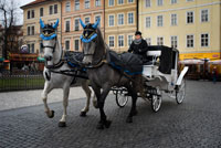 Carroaje horse drawn tour in the Old Town Square. The Old Town Square. The Old Town Square is one of the nicest places in Prague. Cozy and old, the square is surrounded by interesting streets why it is a real pleasure to walk. The square is full of interesting buildings most notably the Church of Our Lady of Tyn, St. Nicholas Church and the Old Town Hall. Church of Our Lady of Tyn Built in the fourteenth century on an old Romanesque church, the Church of Our Lady of Tyn (Kostel Matky Bozi p? Ed Týnem) is an impressive late Gothic church with two towers of the sharp dominate the skies over Prague.