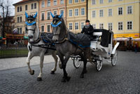 Carroaje turístico tirado de caballos en la la Old Town Square.  La Plaza de la Ciudad Vieja.  La Plaza de la Ciudad Vieja es uno de los lugares más agradables de Praga. Acogedora y antigua, la plaza está rodeada por interesantes callejuelas por las que resulta un auténtico placer pasear. La plaza está repleta de edificios de interés entre los que destacan la Iglesia de Nuestra Señora de Týn, la Iglesia de San Nicolás y el Ayuntamiento de la Ciudad Vieja. Iglesia de Nuestra Señora de Týn Construida en el siglo XIV sobre una antigua iglesia románica, la Iglesia de Nuestra Señora de Týn (Kostel Matky Boí p?ed Týnem) es una impresionante iglesia de estilo gótico tardío que cuenta con dos de las afiladas torres que dominan los cielos de Praga. 