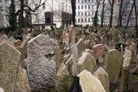 The Old Jewish Cemetery in Prague. The Old Jewish Cemetery in Prague (Czech: Old Jewish h? Bitov) is located in the Jewish Quarter of Prague (Czech Republic, the Josefov. Was used since the fifteenth century (the oldest grave, that of Avigdor Kara, dates from before , 1439) until 1787. His predecessor was another cemetery called "The Jewish garden" located in the New Town of Prague and recently found through various archaeological excavations. the number of graves of people buried is uncertain, because there are several layers of graves . Anyway, it has been estimated that there are 12,000 graves aproxidamente apparently visible, which lie more than 100,000 Jews. Some of the most famous people buried in the cemetery are Mordecai Maisel (1601), Rabbi Judah Loew (1609), David Gans (1613) and David Oppenheim (1736).