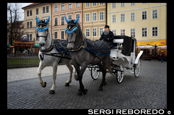 Carroaje turístico tirado de caballos en la la Old Town Square.  La Plaza de la Ciudad Vieja.  La Plaza de la Ciudad Vieja es uno de los lugares más agradables de Praga. Acogedora y antigua, la plaza está rodeada por interesantes callejuelas por las que resulta un auténtico placer pasear. La plaza está repleta de edificios de interés entre los que destacan la Iglesia de Nuestra Señora de Týn, la Iglesia de San Nicolás y el Ayuntamiento de la Ciudad Vieja. Iglesia de Nuestra Señora de Týn Construida en el siglo XIV sobre una antigua iglesia románica, la Iglesia de Nuestra Señora de Týn (Kostel Matky Boí p?ed Týnem) es una impresionante iglesia de estilo gótico tardío que cuenta con dos de las afiladas torres que dominan los cielos de Praga. Fundida entre las casas y estrechas callejuelas del centro de la ciudad, la Iglesia de Týn es el mayor símbolo del estilo gótico de Praga y un edificio con una importante historia. La iglesia cuenta con 52 metros de largo y 28 de ancho, aunque su parte más importante son las impresionantes torres que superan los 80 metros de altura. Ayuntamiento de la Ciudad Vieja El Ayuntamiento de la Ciudad Vieja es uno de los edificios de la Plaza de la Ciudad Vieja que más miradas atrae gracias a que en él se encuentra el impresionante Reloj Astronómico de Praga. El edificio, utilizado como ayuntamiento hasta finales del siglo XVIII, destaca por su torre gótica de 60 metros de altura desde la que se puede contemplar el centro de la ciudad a vista de pájaro. 