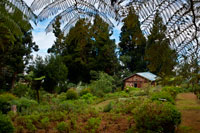 Jardines exteriores de Chez Isabel. En este lugar se cultivan y venden platas y esencias aromáticas. Petit France es un pequeño pueblo en la isla de La Reunión, departamento francés de ultramar en el suroeste del mar del Océano Índico. Se encuentra en la vertiente occidental de la cima de la montaña llamada Maido en la sierra de San Pablo, en sí se encuentra en el oeste de la isla. Su economía se basa en la destilación de perfumes, así como la actividad turística disfrutado participando en la etiqueta criollos Villages.