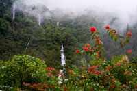 Cascada de Voile de la Mariée. A més al llarg de la mateixa ruta de Le Point du Jour, just al nord del desviament a Grand Ilet, no et perdis la Cascade du Voile de la Mariée. Aquests imponent caiguda caigudes en diverses etapes, des de les altures sovint en el núvol enfosquida al barranc a la carretera. Es tenen millors vistes des de la carretera de Gran Ilet.