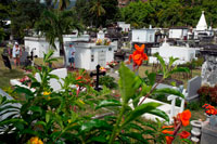 Cementerio de Saint Paul, la antigua capital de Reunión, y que todavía desprende un cierto aire colonial, además de un carácter tropical que se deja notar en sus edificios históricos, que vamos descubriendo al caminar por su paseo marítimo, flanqueado por varios viejos cañones y distintos cocoteros. El único monumento como tal es su cementerio Marin, el cual está en buen estado de conservación. Este hermoso rincón nos recuerda parte del pasado de Isla Reunión, como por ejemplo cuando fue refugio de piratas. De hecho, por aquí se encuentran tumbas de famosos piratas como la de Olivier Le Vasseur, llamado "La Buse" que significa el Halcón, que descansa junto al famoso símbolo pirata de la calavera con tibias cruzadas. Además, en el cementerio Martin también reposan los restos de diferentes personajes históricos de Reunión.