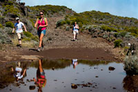 Trekking pel Volcan Pitó de la Fournaise. El Piton de la Fournaise, és el volcà actiu a l'illa de Reunió, és un dels volcans més actius del món i un dels més vistos. El Piton és al cor d'un dels vestigi d'un antic volcà enfonsat la qual en el qual es construït un mar de lava. El paisatge és increïble, la temperatura és freda. A més, el clima és bonic aquesta cavitat que augmenta el plaer. L'emplaçament del volca de la Fournaise és a partir del Pas de Bellecombe un lloc ineludible en la Reunion. L'emplaçament del volcà és el lloc més visitat de la illa, tot és genial, podem descobrir "la plana de sorra" a l'arribada al "Pas de Bellecombe" que enfonsament tot el tancat.