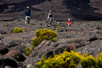 Una familia fent un trekking per sobre de la lava del Volcà Pitó de la Fournaise. És l'únic volcà actiu de l'illa. Les seves erupcions atrauen milers de visitants. Les colades de lava s'estenen fins a la costa est originant un paisatge únic. Al volcà, quan no està actiu, es pot realitzar senderisme. Hi ha diverses rutes marcades. La carretera d'accés al volcà val la pena. Es travessen paratges plens de vegetació adaptada a les condicions d'altitud i humitat (boira constant) que hi ha en aquesta zona. Podreu veure diversos cràters i una zona completament desèrtica anomenada Plaine des Sables a la qual s'arriba després de creuar pel Pas des Sables on val la pena aturar-se a contemplar el paisatge. Abans de visitar el volcà us recomano que feu una parada al poblet de Bourg-Murat on està situada la Maison du Volcan, un Museu on expliquen la formació de l'illa, l'activitat volcànica i les erupcions més importants al llarg de la història de Reunió. Projecten un audiovisual molt interessant.