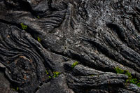 Lava del Volcan Pitón de la Fournaise, del mismo tipo que la de Hawaii. El acceso a la caldera está permitido desde las 06h. a las 16 h. y se efectúa por un marcado sendero que desciende aprovechado una brecha en la muralla hasta el piso de la caldera, aunque en los momentos de acontecimientos sísmicos que preceden a las erupciones y durante estas, el paso se encuentra cerrado. Desde aquí, se extiende una red de itinerarios perfectamente señalizados con rocas pintadas en blanco que es importante no abandonar pues la niebla que en ocasiones puede aparecer podría ponernos en serios problemas, por lo que deberemos extremar nuestra atención y no perderlos de vista. La ruta que debemos seguir durante los primeros kilómetros llanea por la base de la caldera donde podemos observar un paisaje fantástico de formas caprichosas, el suelo que vamos pisando se encuentra modelado en cordones característico de este tipo de coladas basálticas y que aparecen por el desplazamiento lento y fluido del magma por debajo de la corteza formando además los característicos tubos de lava. Al poco de iniciar el camino por la caldera del volcán nos encontramos un curioso cráter conocido con el nombre de Leo Formica (hormiga león) es un promontorio de varias decenas de metros que se levanta como si de una trampa de hormiga león se tratara. 