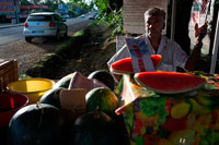 Fruit stall in Sainte-Suzanne, a town near Saint Denis. The fruit inheritance of Reunion Island is diverse, almost all fruit species were introduced into it. 138 different fruit species were listed, of which only five are cultivated for commercial purposes: mango, litchi, pineapple, banana and citrus. What remains of the fruit inheritance only grown in the gardens, or only found in nature. CIRAD researchers wanted to diversify the island fruit production with a new fruit. Given the wealth evoked before, seemed pointless to introduce a new species because species already present (such as Hylocereus) do not have to be acclimated, which saves time.