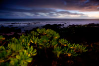 Puesta de sol en la Plage de la souris chaude. La playa del ratón caliente se clasifica como la única"no oficial" playa nudista de la isla, el nudismo es parte de la vida cotidiana de este lugar, a pesar de la ley de 1978 que prohíbe la práctica. Es también un lugar para los gay y, por desgracia, el sitio fue asaltada por voyeurs de todo tipo!  Se encuentra en la punta de las tres cuencas, entre Saint Gilles y San Leu. El acceso a través de un pequeño camino de la carretera principal. Las rocas y arena. Aunque el nudismo se practica.