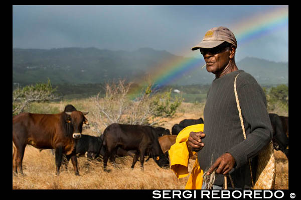 Atardecer con el arcoíris de fondo. Un ramadero cuida de sus vacas. En la isla de Reunión, sus paisajes grandiosos, su naturaleza salvaje y las magníficas posibilidades para el senderismo le han dado fama internacional. Pero la Reunión, situada al este de Madagascar en el océano Índico, es también una isla que ha sabido sacar partido de sus diferentes mestizajes.