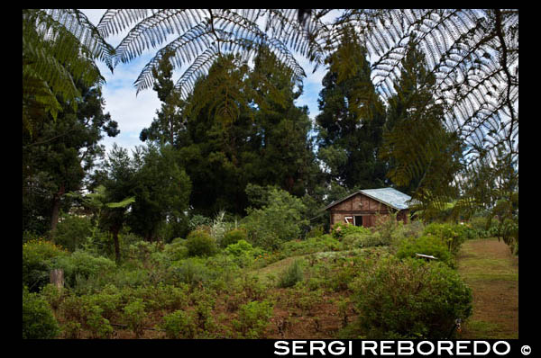 Outdoor gardens Chez Isabel. In this place grow and sell silver and scents. Petit France is a small village on the island of Reunion, a French overseas department in the southwest Indian Ocean sea. It lies on the western slope of the mountain top called Maido in the mountains of San Pablo, itself located in the west of the island. Its economy is based on the distillation of perfumes, and tourist activity enjoyed participating on the label Creole Villages.