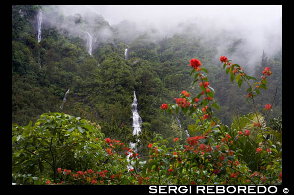 Cascada de Voile de la Mariée. A més al llarg de la mateixa ruta de Le Point du Jour, just al nord del desviament a Grand Ilet, no et perdis la Cascade du Voile de la Mariée. Aquests imponent caiguda caigudes en diverses etapes, des de les altures sovint en el núvol enfosquida al barranc a la carretera. Es tenen millors vistes des de la carretera de Gran Ilet.