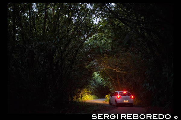 Carretera de acceso al Hotel Diana Dea Lodge. Diana Dea Lodge ubicado en el centro de un antiguo dominio de caza cerrada de más de 150 hectáreas de exuberante vegetación. Está situado a 600 metros de altitud por encima de Sainte-Anne pueblo entre Salazie & La Plaine des Palmistes. Este albergue es un paraíso natural con impresionantes vistas sobre el Océano Índico. La arquitectura y el diseño de la casa de campo se ha ajustado a la naturaleza, que son en su mayoría hechas de madera y piedra, en un ambiente sencillo pero acogedor. Aquí todo está en su lugar para un momento de tranquilidad, podrá relajarse en el spa o simplemente disfrutando de un cóctel junto a la piscina! Diana Dea Lodge ofrece dos tipos de alojamiento: 24 habitaciones superiores y 6 habitaciones Privilege. Se colocan en dos plantas y todas las características de una terraza o un balcón amueblado con una alcoba de estar que ofrece una vista espectacular de 180 º sobre el Océano Índico. Los baños están equipados con ducha, bañera y WC separado, sino que también tienen una ventana para disfrutar de la vista de la naturaleza mientras tomaba un baño. La decoración sencilla y ordenada de las habitaciones ofrece una mezcla dulce de madera con algunos accesorios contemporáneos, telas de lana, y paredes de piedra.