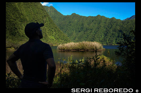 Nicolas Cyprien. Treking alrededor del lago Grand Etang. Point de vue sur grand etang.  Aquí está una manera diferente y mucho más deportivo para visitar el Grand Etang. Si dos terceras partes de la pista es un área plana, la última parte es más difícil. Todavía se pueden ver alrededor de la casa Servaux rastros de las culturas, así como un gran avión, pero la zona es abandonada mucho tiempo. Ahora es el área de la guayaba y muchas veces ver a la gente en la Plaine des Palmistes con grandes latas se reúnen para preparar la deliciosa mermelada. El aparcamiento es fácil de encontrar en el borde de la Nacional. Hay poco espacio, pero pocos los solicitantes de esta excursión! El inicio de la producción está en un tramo de la antigua carretera, pero se necesita imaginación para ver roll, incluso en 4x4. Más allá de las ruinas de la casa Serveaux, la vegetación más densa, principalmente guayaba, para convertirse inextricable. Pero todavía sigue este camino aparente mediante una mayor pedregoso lecho secador de Barranco y llegar a los pies de la charca de Dismal. La subida es grave, pero relativamente corto, resbaladizo y fangoso. Entonces usted ha venido un poco en una hermosa fanjans forestales para finalmente llegar a la parte superior y la vista de la laguna. Desde el mirador, que vemos a la izquierda un sendero que parecía que iba a ser utilizado por los cazadores tangues. Los más valientes prestado para admirar los hermosos pies de branles verdes que crecen en gruesas capas de espuma, algunos de los cuales alcanzan varios metros de circunferencia. Podemos seguir la cresta en una buena longitud y obtener los puntos de vista de la laguna que se diferencian de lo convencional. Este camino ha sido reconocido recientemente por la Federación Nacional de Ciegos ha confirmado su deseo de no hacer nada para mantenerlo. Por lo tanto, se convertirá, como muchos otros, pronto será imposible de encontrar y será abandonado si no somos más propensos a visitar. Es una pena porque es un corto paseo a pie y ofrece una hermosa vista de la laguna y la zona de Takamaka. 