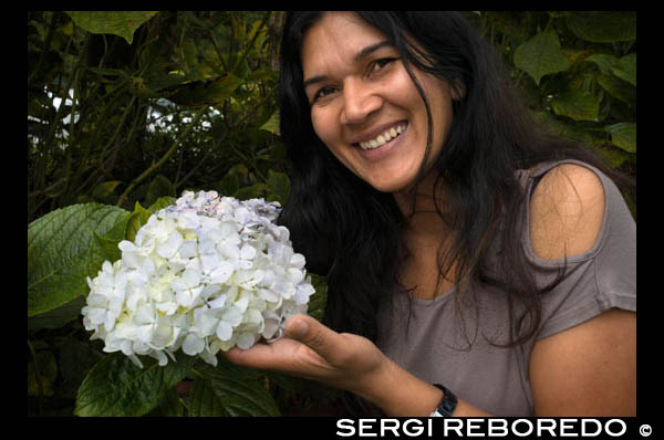 Isabel, propietaria de Chez Isabel, lugar en el que se destilan y venden perfumes artesanales. Perfume Distillery & Piton Maido  Este emocionante recorrido le lleva a que el corazón de interior volcánico agreste de la isla antes de dirigirse a una fascinante destilería perfume, donde aprenderá la importancia de geranios en el proceso de perfume de decisiones. A continuación, disfrutar de tiempo de las compras en el complejo junto a la playa popular de St. Gilles.  QUÉ VISITAR La Petite France Perfume Distillery - Hojas de geranio hacer una esencia deliciosa cuando se destila la creación de muchos perfumes populares. Este proceso, que se lleva a cabo cada dos meses aproximadamente, utiliza 1,500 libras. de las hojas para producir sólo cuatro tazas de esencia. Geranios se introdujeron a Reunión de África del Sur en la década de 1800 y son una planta de gran altura. Aquí en La Petite France, puede adquirir la esencia de geranio.  COMPRAS St. Gilles - Habrá tiempo libre para pasear por esta popular ciudad de playa en la costa oeste y la tienda de souvenirs.  TOMA DE IMÁGENES Piton Maido - Aquí se puede disfrutar de unas impresionantes vistas de la lejana Mafate Cirque y los picos más altos de la isla, incluyendo Piton des Neiges y las llanuras de abajo. Piton des Neiges volcán está flanqueada por tres circos de erosión desgastadas. Un circo es una gran caldera volcánica rodeada por paredes rocosas escarpadas.  LO QUE SE VE EN EL CAMINO Desde el muelle, tomar un paseo panorámico por la costa oeste, pasando por la ciudad de St. Paul, donde los primeros habitantes de la reunión se establecieron en 1646. Paisaje siempre cambiante de la costa de sotavento está bordeada con largas cintas de playas compuesto de cualquiera de arena blanca o negro. Los campos de caña de azúcar, geranios y tamarindos salir a la luz, con el cultivo característico cambiando a medida que aumenta la altitud. Después de su parada fotográfica en Piton Maido y visita a La Petite France, continuar hasta el pueblo de St. Gilles y luego de vuelta al muelle. 