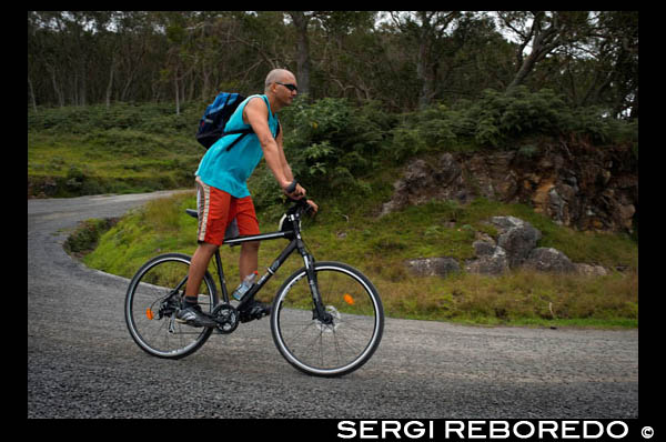 Descenso en bicicleta de montaña por la cordillera de Mafate y la montaña de Maido. El circo de Mafate es uno de los 3 grandes colapsos del volcán más antiguo de la isla de Reunión. Este es el más salvaje y la única que permanece inaccesible en vehículos. Se puede llegar sólo a pie o en helicóptero. El borde del circo es una pared casi vertical, más de 1000m de altura. Se llama "muralla". El pico de Maïdo (2203m) está situado en el borde oeste de esta "muralla". Maïdo, en malgache, significa "tierra quemada". Sin embargo, incluso desde un punto de vista botánico, esta balada es enriquecedor, porque para llegar a la plataforma Maïdo, es necesario para comenzar su viaje desde el nivel del mar, y como usted se levanta, va a cruzar varios pisos de vegetación: zonas de cultivo (caña de azúcar y café), hasta los bosques de altura media de 1000 m (hasta 1900m) con árboles en particular tití. Entonces, el bosque desaparece, como aparecen prados. A partir de los 2000m de altura, sólo hay algunas plantas que quedan cortos, como arbustos, retamas y hierbas. Una de las ventajas de Maïdo es fácilmente accesible en coche, en un excelente camino: no es tan frecuente que subir 2000m sin cansarse! Usted llegará en un aparcamiento de 2180m de altura y que sólo tendrá que caminar 5 minutos más para unirse a la Belvedere. En el camino, se cruza aldeas donde todavía cultivamos plantas como el geranio y el vetiver, que se utiliza en perfumería. A partir de 1.500 metros de altura, se pasa a lo largo de numerosos quioscos equipados para la barbacoa, donde las familias vienen a la Reunión de picnic e incluso para pasar el fin de semana en un ambiente agradable. En el camino, primero pasar por alto los campos de cultivo y la llanura costera, a continuación, se cruza el bosque, y cuando vas a salir de él, usted descubrirá el gran paisaje de la zona oeste de la isla. Por último, pero no menos importante, desde el mirador, la vista increíble de la Mafate circo, con su impresionante altura y la verticalidad de sus acantilados le traerá sin aliento! A partir de ahí, si miras hacia arriba, percibirán las cumbres insulares:. El Piton des neige ("pico de las nieves" - 3070m), el Gros Morne (2991m, donde la convergencia de los acantilados de Mafate, Salazie y Cilaos acantilados A la derecha , verá la cumbre Bénare Gran (2896m), accesible a pie desde Maïdo (6 horas para ir / volver). En el otro lado del circo de Mafate, puede hacer buen viaje a la Ecrite Roche y Roche Verre Bouteille miradores. > En el primero, comenzar su viaje desde el "Le Brulé" aldea, con vistas a Saint-Denis. > En la segunda, comenzar su viaje desde el caserío de "Dos d'Ane", con vistas a Le Port. Maïdo es un buen punto de partida para caminatas hermosas: > Grand Bénare (2896m), de 6 a 7 h para ir y volver. > Caminata a Mafate, por el camino de "La Brecha", se llega a la aldea de Roche Plate, 1100m inferior: 2,5 horas para descender, pero 4 horas para obtener una copia de seguridad! Este viaje no es recomendable para personas que sufren de vértigo! Por sensaciones fuertes amateurs, Maïdo es un sitio ideal para la práctica: > Parapente y ala delta > Bicicleta de Montaña: un buen consejo: es posible llegar hasta Maido con la bicicleta de montaña alquiler de furgoneta de la empresa, y para montar abajo con su bicicleta de montaña: un gran placer! BTT empresas de alquiler:  > Télénavette, ubicado en Saint Gilles: 02 62 45 18 67. > Rando Reunion Pasión: 02 62 24 26 19 ou 06 92 88 54 58. www.vttreunion.com MIS RECOMENDACIONES PERSONALES: En lugar de conducir de nuevo a San Pablo por el mismo camino, un buen consejo es tomar la "Ruta Forestal 9" (bosque carretera n ° 9): esta carretera también se llama "carretera de los Tamarindos" (carretera de árboles Tamarin) que lleva a Tévelave, con vistas Entang Salé (Salty Lake). Este es un camino muy agradable (40 km de largo, que se mantiene siempre en el bosque, entre 1200m y 1400m de altura, que ofrece un ambiente muy atractivo, fresco y tranquilo. En el camino, muchos lugares de picnic muy bien equipado y mantenido a su disposición. Si está sorprendido por la lluvia, a medio camino, un camino permite escapar y conduce a Saint-Leu.  CÓMO LLEGAR: En coche: usted tendrá que salir (temprano!) De Saint Paul y la cruz "Guillaume" y "Petite France" pueblo, usando la carretera RF8. A unos 25 km para ir.  Un TIP PARA COMER: Lleva tu propia comida! Hay una serie de lugares que te esperan en lugares magníficos, equipado con barbacoa. Usted sólo tendrá el desconcierto de la elección y, si lo prefiere, siempre encontrará un lugar aislado.  DATOS DE INTERÉS Horario de atención: Es imperativo que salir muy temprano. Como en muchas islas, las nubes pueden llegar muy rápido, por lo general alrededor de las 10 de la mañana, se priva de la vista. Así que no dude en salir antes de la subida día. 