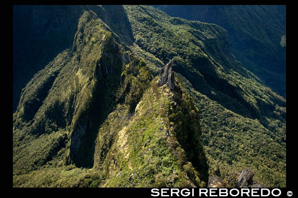 Vista àrea des d'un helicòpter del Cirque de Cialos. Cilaos està al centre de l'illa, a l'amfiteatre natural del mateix nom, a la part sud de les Piton des Neiges. Tota la seva municipi està situat a l'Alt. Cilaos té el rècord mundial de les precipitacions diürnes van ascendir a 1,87 m en 1952. Les comunitats dels voltants estan en Saffron Walden, Entre-Deux, Sant Benet, Sant-Leu, St Louis, St Paul, Salazie-tres piscines. La paraula ve de la paraula malgaix Cilaos Tsilaosa, que significa "lloc on un està segur" un. En relació amb el suposat origen, la moneda comuna és "Cilaos, sempre torna". No obstant això, segons alguns historiadors, la paraula Cilaos vegada troben el seu origen en el nom d'un esclau de Madagascar anomenat "Tsilaos" refugiar-se al circ. És també aquests esclaus "marrons" (o "marró fosc") a Cilaos fugida que va ser poblada per primera vegada. Van escapar dels seus amos, els cimarrons es van aprofitar de la dificultat d'accés al lloc de viure en llibertat i amb la natura. Alguns d'aquests esclaus van ser instal · lats Islet cadena, que deu el seu nom al fet que els esclaus fugitius amagats que no va poder arribar a l'altiplà per cordes llançades des de les muralles. Creient-se segur, van ser perseguits ràpidament per "caçadors de castanyes" armat i organitzat. En la seva fugida, van morir moltes castanyes. Aquests caçadors van aparèixer Mussard (un dels més coneguts a la reunió), que va ser a l'octubre de 1851 en un illot Cadena banda, on es va trobar amb dos camps d'esclaus fugitius. Les empremtes romanen de marronage incloent Tapcal bosc en expedicions recents han desenterrat ossos. Després de la tràgica història d'aquests primers habitants de castanyes, que eren sens dubte massa aviat per arribar a aquests "camins de cabres" que pugen la muntanya més empinada circ Cilaos romandre un temps deshabitada. És en 1850 que data oficialment el seu primer assentament. Però en 1835 va arribar el "petit blanc" pobres i sense terra. Aquests colons van desenvolupar una agricultura de subsistència alimentària (llenties, blat de moro, vi, pèsols, fesols, cítrics, bestiar, ...). La primera família es va instal.lar al Braç de St Paul i altres, sobre Islet String. Algunes instal · lacions es remunten a la quarta generació, però sembla que els propietaris originals, que van arribar a principis del segle XX van ser Gonthier i Picard. En 1866, una població de 960 habitants. A principis del segle XX, Cilaos tenia 2.500 habitants. Va arribar al cens de 1982 el nombre de 5.629 habitants.