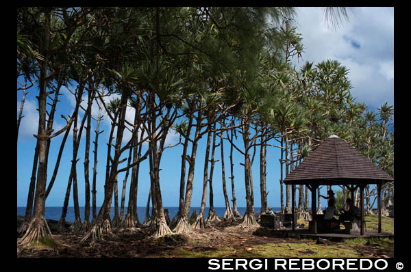 Les puits arabe ou jardin volcanique. El pozo árabe se construyó en el siglo XIX por los órdenes de la administración colonial. Se encuentra fuera de San Felipe, al final de un camino forestal con vistas al mar es similar a la construida en Arabia árabe. Se trata de un agujero cuadrado, con 42 escalones tallados en la lava que baja hasta el nivel freático, que es de 10 m de profundidad. La fuente se agotó en 1986, después de una erupción. Kioscos tendrá a su disposición para hacer un picnic en un entorno natural agradable.