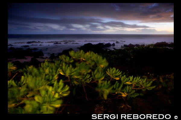 Puesta de sol en la Plage de la souris chaude. La playa del ratón caliente se clasifica como la única"no oficial" playa nudista de la isla, el nudismo es parte de la vida cotidiana de este lugar, a pesar de la ley de 1978 que prohíbe la práctica. Es también un lugar para los gay y, por desgracia, el sitio fue asaltada por voyeurs de todo tipo!  Se encuentra en la punta de las tres cuencas, entre Saint Gilles y San Leu. El acceso a través de un pequeño camino de la carretera principal. Las rocas y arena. Aunque el nudismo se practica.