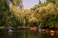 Floating tires for tourists in the Shanghai Zoo. Shanghai Zoo is the main zoological garden in Changning District in the Chinese city of Shanghai. After half a century of development the Shanghai Zoo has become one of the best ecological gardens in Shanghai. The zoo houses and exhibits more than 6,000 animals, among which are 600 Chinese animals that include the giant panda, golden snub-nosed monkey, South China tiger, hoopoe, black bulbul, scimitar-horned oryx, great hornbills and Bactrian camels. Animals from other parts of the world include, the chimpanzee, giraffe, polar bear, kangaroo, gorilla, ring tailed lemur, common marmoset, spider monkey, african wild dog, olive baboon, mandrill, Canadian lynx and maned wolf. The zoo is constantly developing and improving the animal enclosures in order to provide better environments for the animals and a pleasurable experience for visitors.