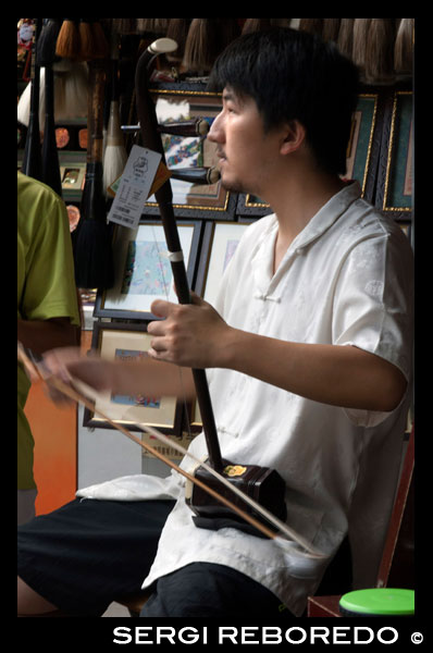 Playing traditional music instrument in Ancient Town of Shanghai. Stringed instrument called Sanxian. The sanxian  is a Chinese lute — a three-stringed fretless plucked musical instrument. It has a long fingerboard, and the body is traditionally made from snake skin stretched over a rounded rectangular resonator. It is made in several sizes for different purposes and in the late 20th century a four-stringed version was also developed. The northern sanxian is generally larger, at about 122 cm in length, while southern versions of the instrument are usually about 95 cm in length. The sanxian has a dry, somewhat percussive tone and loud volume similar to the banjo. The larger sizes have a range of three octaves. It is primarily used as an accompanying instrument, as well as in ensembles and orchestras of traditional Chinese instruments, though solo pieces and concertos also exist. The sanxian is used in nanguan and Jiangnan sizhu ensembles, as well as many other folk and classical ensembles. Traditionally the instrument is plucked with a thin, hard plectrum made from animal horn but today most players use a plastic plectrum (similar to a guitar pick) or, alternatively, their fingernails. This use of fingers to pluck the instrument often shares technique with that of the pipa and is most commonly used in performance of sanxian arrangements of works traditionally written for the pipa. This allows for pipa techniques such as tremolo to be used. Other techniques for sanxian include the use of harmonics and hitting the skin of the instrument with the plectra or fingernail (comparable to the technique used to play the northern Japanese tsugaru-jamisen). A closely related musical instrument is the Japanese shamisen, which is originated from the Chinese sanxian, but which generally uses cat or dog skin rather than snakeskin to cover its resonator. Even more closely related is the Okinawan sanshin, which is also covered in snakeskin. Additionally, the sanshin and sanxian share a structurally similar body part consisting of a round-edged square of wood. In the Japanese shamisen, the body (sao) is made of four pieces of wood instead of one. The Vietnamese ?àn tam is also very similar to the sanxian.