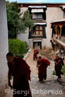 Monjos a l'interior del Monestir Tashilumpo, ubicat a Shigatse, Tibet. Fundat el 1447, Tashilumpo és una raó més que suficient perquè Shigatse figuri en els mapes. Només entrar a l'avinguda principal, les teulades daurats dels mausoleus dels Panchen lames criden de seguida l'atenció dels visitants. A l'esquerra queda la capella de Jampa (Maitreya), el Buda de la Bondat, immortalitzat amb una imponent estàtua de 26 metres d'alt. Erigida el 1914 sota l'auspici del novè Panchen Lama, gairebé un miler d'artesans i obrers van participar en la seva construcció durant quatre llargs anys. És una presència realment colpidora la d'aquest Buda banyat en 300 quilos d'or i pedres precioses. En una cantonada, un monjo assegut amb les cames creuades sobre una màrfega es manté alerta. Per cada fotografia cal pagar 30 iuans i aquest "cobrador del frac" budista no baixa la guàrdia. Davant d'una magnificència, sorprèn veure a les rates passejar al seu antull per les imatges sagrades. En l'antiquíssim saló de les assemblees, on els monjos es reuneixen a pregar després dels àpats, dues enormes rosegadors s'enfilen, davant la indiferència dels religiosos, per la imatge de Sakyamuni, "El savi de Sakya", el Buda originari, conegut pels tibetans com Sakya thukpa. Cal anar amb compte: circulen desenes d'històries sobre monjos afins a Pequín disposats a denunciar al pelegrí o al turista sorprès amb una foto del Dalai Lama o censurant la política xinesa al Tibet. El Assembly Hall és un bon lloc per seure a observar als monjos ia escoltar les seves lletanies espirituals. Sobre un petit faristol situen els pergamins amb les oracions. Il · luminada l'estada tot just per unes poques llànties de mantega de iac, l'atmosfera que envolta el visitant té un halo d'irreal, de plaent pessic d'una altra època. Aquest misticisme envoltant no és etern i es dissipa de manera grotesca quan el monjo que dirigeix les pregàries es posa a comptar els feixos de iuans que deixen els turistes. És el peatge de la globalització.