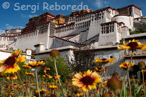 Palau del Potala. Lhasa. Situat a la Muntanya Hongshan a Lhasa, capital de la Regió Autònoma del Tibet, el Palau Potala es troba a 3.700 m sobre el nivell del mar. Es diu que amb motiu de l'arribada de la princesa Wen Cheng, de la família imperial Tang, el rei tibetà Sontsan Gampo va manar construir aquest magnífic palau de mil sales i pavellons en l'any 631. Ocupa una àrea de 410.000 metres quadrats i té una superfície edificada de 130.000 metres quadrats. Es tracta de la cinquena essència de l'antiga arquitectura tibetana.