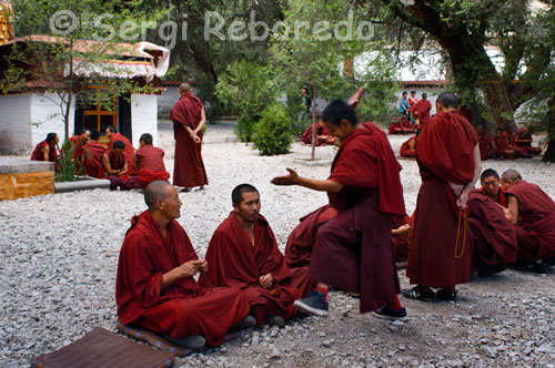 Sera monks of the temple. Lhasa. The monks of Sera Mey Monastery, who came expressly from India, offering the public the songs and music that accompany the traditional rituals in Tibetan Buddhist monasteries. The intensity and depth of these songs, which to our Western ears come to us as an extraordinary manifestation, is instead a daily habit in the day every day inside these monasteries. Prayers first thing in the morning, prayers of the sunsets, but also songs directed at various aspects of the manifestation of the Buddha, compassion and universal love, wisdom, purification, energy, healing and petitions long life, clarity of thought, among many other prayers made with recitations of sacred words and mantras. Also the special way it is used the voice, instrument of pure manifestation, makes this concert a unique concert.