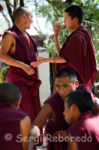 Monjos del temple de Sera. Lhasa. En un dels suburbis situats a uns tres quilòmetres al nord de la capital del Tibet (Lhasa), als vessants del turó que porta el nom de Tatipu, trobem el magnífic monestir de Sera que al costat del Drepung i al Ganden són tres de els centres religiosos més famosos de la ciutat. El monestir està consagrat a la secta Gelupta (l'ordre del barret groc), una branca del budisme tibetà fundada per Tsong Khapa. Seria SagyaYexei, un dels deixebles de Tsong Khapa, qui manés edificar el monestir allà per l'any 1419, amb el pas del temps Sera es convertiria en un dels 6 monestirs més importants de l budisme tibetà consagrats a la secta Gelupta. Però sens dubte el principal atractiu de Sera són els famosos debats exotéricos (discussions que versen sobre diferents aspectes de la doctrina budista) que tenen lloc entre els monjos que habiten el monestir. Aquests debats es produeixen a l'aire lliure davant l'atenta mirada d'un públic-turistes-profà en la matèria que observa amb atenció els gestos, empentes i la vehemència amb la qual els monjos defensen i argumenten les seves opinions. Aquests debats tenen lloc de dilluns a divendres i comencen a les 3 pm amb una durada aproximada d'hora i mitja. És important assistir-hi amb el màxim respecte per tal de no interferir en les discussions dels monjos ....