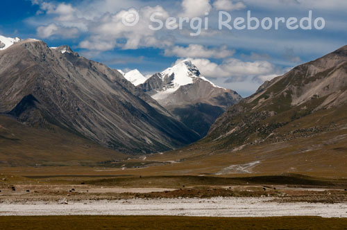 Attractive landscape of Lhasa train journey to Shanghai. Yuzhu Peak: with 6178 meters is the highest point of the Kunlun Mountains. The views of the mountains from here are spectacular. Hopefully, it will be also possible to see yaks too common species or Tibetan antelope. Chuma River: This river is considered as the point of convergence of different antelope migration routes. Tuotuo River: This river feeds the Yangtze River, the third longest in the world and the largest in China. Buqiangge: The station is located at 4823 meters above sea level, surrounded by vast prairies. Tanggula: highest railway station in the world at 5068 meters, where you have extraordinary views of the mountains Tanggula. Lake Cuon: with an area of 400 km2 and 4594 meters, is one of the largest fresh water lakes that are high. In winter, the frozen waters reflect sunlight much like a kaleidoscope, while herds of Tibetan yaks grazing on its banks, in addition to cranes, snow leopards, donkeys, swans ... Nakqu: extensive pastures where horses are done racing. Damxung, located 60 km. Lhasa, the region rich in wildlife, is the northern gateway to the Tibetan capital. Yangbajain: zone of sulfate-rich hot springs and beautiful scenery hydrogen.