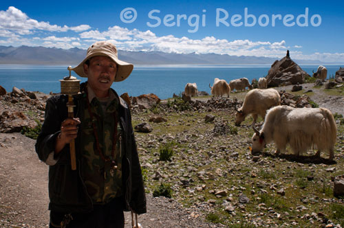 Un pelegrí i diversos Yaks pasturant als peus del llac Nam Tso. Les aigües blau turquesa del llac sagrat Nam tso, 195 km al nord de Lhasa, al enrarit aire a 4500 m, tenen una lluentor transcendental capaç de posar a prova la paleta del millor artista. Forma part de l'altiplà de Changtang i està flanquejat al nord per la serralada de Tangula Shan i al sud-est per la muntanya Nyenchen Tangha. Tot el paisatge circumdant és igual d'espectacular. No obstant això, les vistes no treuen tant la respiració com l'altura. Nam tso està 1000 m més alt que Lhasa, per la qual cosa s'aconsella haver passat una aclimatar abans de fer la excursió al llac.