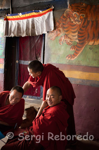 Monjos a l'interior del Monestir Tashilumpo, ubicat a Shigatse, Tibet. El monestir de Tashilumpu és un dels sis monestirs grans al Tibet. Tashilumpu va situar al peu de la muntanya de Tara. Va ser trobat pel primer lama de Dailai en 1447 i ampliat pels quarts i successius lames de Pancho. El monestir cobreix una àrea de gairebé 300.000 metres quadrats incloent les estructures principals de la capella de Maitreya, del Palca del lama de Pancho i del temple de Kelsang. Tashilumpu és el seient del lama de Pancho ja que el quart lama de Pancho va prendre la càrrega al monestir, i ara hi ha prop de 800 lames. Col · locant a l'entrada del monestir, vostè pot veure els edificis magnífics amb els terrats d'or i les parets blanques.   