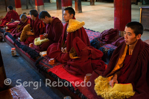 Monjes rezando en el interior del monasterio de Pelkhor Chode. Gyantse. La revolución cultural acabó con este idílico paisaje y se llevó por delante muros, lamas y puso fin a la armonía reinante. En la actualidad viven en Pelkor unos 70 monjes que se afanan en reconstruir aquello que derribó el odio y la incomprensión, parece que poco a poco a poco lo van consiguiendo. En cualquier caso una maravilla que no os debéis perder y que guarda entre sus muros, aparte de una estupenda biblioteca una de las obras maestras de la arquitectura Tibetana, el famoso Chorten de Oro o Kumbum.