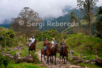 Varios caballos cabagan por el Valle de Cocora. Historia : VALLE DEL COCORA. En 1993 dada la perspectiva de un desarrollo vertiginoso del sector turístico del eje cafetero y especialmente del departamento del Quindío, buscando adicionar una plataforma de atracciones para el turista que llegaría a visitar los atractivos de la zona que empezaron a surgir como nuevos destinos turísticos, se pensóÂ en el lanzamiento de un nuevo lugar llamado "Complejo Eco turístico Restaurante Bosques de Cócora" ubicado en el Valle de Cócora donde crece el árbol Nacional de Colombia a 25 minutos de la ciudad de Armenia.   El Valle del Cocora es reconocido a nivel mundial y nacional por su hermoso paisaje, por sus palmas de Cera que miden más 60 metros (las más altas del mundo) y declaradas el árbol Nacional de Colombia. Allí es la cuna del nacimiento del Río Quindío y es una de las entradas al Parque Natural de los Nevados.   Misión : La satisfacción plena de las necesidades y expectativas de los clientes mediante la prestación e innovación de servicios gastronómicos de calidad. Dentro de los principios y valores que rigen la organización buscara permanentemente el desarrollo integral y equitativo de su talento humano y unos niveles de rentabilidad y productividad que permitan la retribución justa a sus dueños y a la sociedad en general   Visión : Se espera que para el año 2010 Bosques de Cocora se convierta en principal destino ecoturistico del eje cafetero y uno de los mas importantes a nivel nacional e internacional, gracias a los altos estandares de calidad en cuanto a gastronomia, servicios turisticos y de alojamiento prestados al visitante.   Responsabilidad social:  Bosques de cócora dentro de su política de responsabilidad ambiental, ha implementado unos procesos y estrategias ambientales, las cuales tiene como propósito promover la preservación y conservación del medio ambiente, utilizando de manera racional los recursos naturales, en beneficio de las futuras generaciones. Actualmente bosques de cócora cuenta con un programa de agenda ambiental el cual consiste en: La adopción de una palma de cera o un árbol nativo, donde las personas podrán contribuir a la preservación de los Bosques y minimizar el impacto que ha generado el hombre a partir de los procesos industriales.