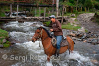 A cavall pel Parc Natural Vall de Cocora a Quindío. La vall de Cocora és un paratge natural localitzat en una vall muntanyós de la Serralada Central dels Andes colombians, específicament al departament del Quindío, fent part del Parc Nacional Natural Els Nevats. És el principal llar de l'arbre nacional de Colòmbia, el palmell de cera del Quindío (Ceroxylon quindiuense), així com d'una gran varietat de flora i fauna, molta d'ella en perill d'extinció, protegida sota l'estatus de parc nacional natural. La vall, així com la localitat propera de Salento, se situen entre les principals destinacions turístiques de Colòmbia.