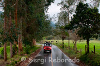 Els típics jeeps Willys recorren els escassos 10 quilòmetres que separen la població de Salento del Parc Nacional Vall de Cocora. Jeep Salento - Cocora 3.000 COP Primer es camina per un sender ample, el paisatge començava a treure, després per un camí d'animals envoltat de muntanyes ... impactant!. Allà vaig veure vaques i les primeres Palmes de Cera a la llunyania. Després va canviar la vegetació, es va tornar més espessa i humida, una selva de muntanya. El sender tenia una mica de fang, al costat corria un rierol que vaig haver de creuar diverses vegades per ponts i troncs, el so dels animals i l'aigua era l'acompanyament perfecte per a aquesta caminada ... meravellós!.