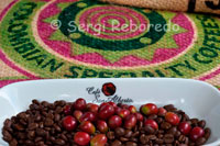 Diferentes granos de café, antes y después del tueste en la Hacienda San Alberto. (Buenavista, Quindío).   Café San Alberto, con el fin de garantizar un sabor exquisito y distintivo, que capitalice las mejores características del terroir, es producido bajo los requerimientos de la Quíntuple Selección. Dicho proceso fue diseñado en la Hacienda San Alberto.  Es un proceso manual donde cada grano que será usado para la elaboración del café tostado San Alberto pasa por cinco fases de seleccion. Asi garantiza un café con sabor insuperable, característico y consistente.  Paso 1: Recolección de frutos maduros en su punto optimo de maduración. Paso 2: Selección manual y descarte de frutos verdes, sobremaduros y defectuosos. Paso 3: Selección manual de almendras sanas y de óptima calidad para el secado Paso 4: Selección de granos verdes de acuerdo a su tamaño Paso 5: Selección del mejor lote mediante prueba de taza, en la que el catador prueba el café para garantizar que efectivamente el lote que va a ser tostado sea fiel representación de las características y atributos del Café San Alberto. El régimen térmico, regulado en Colombia por la altitud asociada con montañas que se elevan a más de 5,000 metros de altura, permite que las temperaturas medias donde se cultiva el café varíen en un rango favorable de 18° a 24° C. Bajo estas temperaturas se hace viable el cultivo del café y se evita la ocurrencia de heladas. Por consiguiente, en la Zona Cafetera Colombiana, las temperaturas están dentro del rango óptimo para el crecimiento del café, sin llegar a experimentar valores extremos (temperaturas muy altas o heladas) que detengan las funciones de desarrollo normales. Los contrastes de temperatura durante el día y de temperatura a través del año también favorecen la generación de azúcares y otros compuestos en el fruto de café que desarrollan, durante la industrialización, atributos apreciados como son la acidez y un cuerpo balanceado.