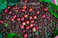 El café especial de la variedad Gesha que se produce en el Valle del Cauca fue escogido entre los diez mejores del mundo. El café especial de la variedad Gesha que se produce en el Valle del Cauca fue escogido entre los diez mejores del mundo.Granos de café molidos junto a otros que todavía no han sido tostados en el Eje Cafetero.  El Eje Cafetero no sólo es el sitio donde se produce la mitad del exquisito café colombiano, sino que es también el segundo destino turístico de Colombia, después de la costa Atlántica. Los tres departamentos que lo integran —Caldas, Risaralda y Quindío— componen una ecoregión ondulada por hermosas montañas verdes, en la que los cafetales están apenas salpicados por sencillos hospedajes e interesantes lugares recreativos.  Cerca de 300 fincas ofrecen alojamiento en el área. Muchas se encuentran en operación, y varias han recibido una distinción del Club de Haciendas del Café: uno o dos granos que hacen las veces de estrellas. Algunas conservan las fachadas coloniales y ofrecen paseos por sus sembradíos de café y de otros frutos, que después se transforman en exquisitos platillos y jugos naturales.  La naturaleza parece infinita hasta que una u otra población obstruye la perspectiva. Esas trabas son, respectivamente: Manizales, centro de la academia y la cultura; Pereira, dueña del comercio y del entretenimiento nocturno; y Quindío, destino principal de la zona por su énfasis turístico y ambiental. Por Quindío vamos a comenzar, pues ahí están los parques temáticos del café y de la cultura agropecuaria, la promesa infalible de diversión.  El eje cafetero  El Eje Cafetero, también llamado Triángulo del Café es una región topográfica de Colombia, comprendida en su extensión por los departamentos de Caldas, Risaralda, Quindío, la región nor-oriental del departamento de Valle del Cauca, toda la región del suroeste de Antioquia y el nor-occidente del Tolima. Hace parte de la región Colombiana conocida como la Región Paisa, y las ciudades capitales de los tres primeros departamentos mencionados son Manizales, Pereira y Armenia respectivamente y divididas en ejes temáticos. Pereira: Desarrollo Empresarial y Financiero. Manizales: Desarrollo Educativo y Cultural. Armenia: Desarrollo Turístico y Ecológico. Esta región fue una notable productora de caucho, a comienzos del siglo XX pero luego se dedicó más al café, uno de los más importantes centros en importación y redistribución de mercancías de fabricación europea. El mismo grupo de comerciantes que promovió estas actividades sería el que años más tarde impulsaría el desarrollo industrial de la zona. El paisaje cultural cafetero de Colombia fue declarado Patrimonio de la Humanidad por la Unesco en 2011.1 Índice [ocultar]  1 Historia del café 2 Generalidades 3 Turismo creativo y moderno 4 Atracciones turísticas 5 Véase también 6 Referencias 7 Enlaces externos Historia del café  