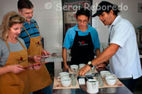 Cata de café en la Hacienda San Alberto. (Buenavista, Quindío).  En la sesión de Catacion se degustan varios cafés siguiendo la metodología standard de la industria. Además se aprende sobre el fascinante mundo del cafe. Se puede disfrutar en Bogota o directamente en Hacienda San Alberto por unos 50 euros por persona. Los suelos donde se produce café en Colombia varían de arenosos a pedregosos hasta arcillosos, en relieves desde planos o ligeramente ondulados hasta abruptos, con marcadas diferencias frente al origen de los suelos de buena parte de los demás países productores de café.  En la Zona Cafetera Colombiana, sobre las tres cordilleras andinas: oriental, central y occidental, se encuentran suelos de origen ígneo, metamórfico, sedimentario y de cenizas volcánicas. La característica principal de los suelos de la Zona Cafetera Colombiana es que, en su mayoría, son derivados de cenizas volcánicas, los cuales tienen un alto contenido de material orgánico y buenas características físicas, reduciendo la necesidad de aplicar fertilización. La existencia de estos suelos aporta condiciones óptimas para el cultivo del café puesto que su estructura permite que el material orgánico se descomponga lentamente, haciendo posible una buena aireación del sistema radicular de las plantas de café y, por consiguiente, una adecuada  disponibilidad de los nutrientes en el suelo. Vale decir que otra característica común de estos suelos que favorece el cultivo del café, es que son poco ácidos y retienen la humedad. En cuanto a la fertilidad, en los suelos de la Zona Cafetera Colombiana, a diferencia de otros países productores de café como Brasil, no se requiere la aplicación de elementos menores como Zinc o Boro, para mantener la fertilidad. Esta alta fertilidad se debe al gran contenido de material orgánico, de origen volcánico de dichos suelos.